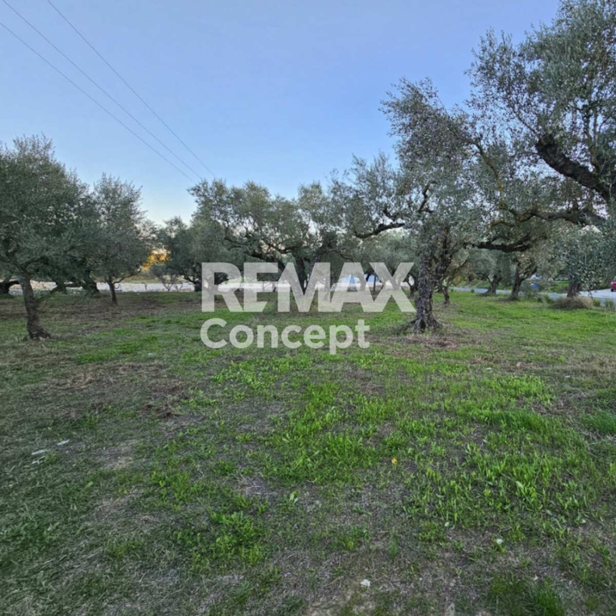 Property thumbnail 4