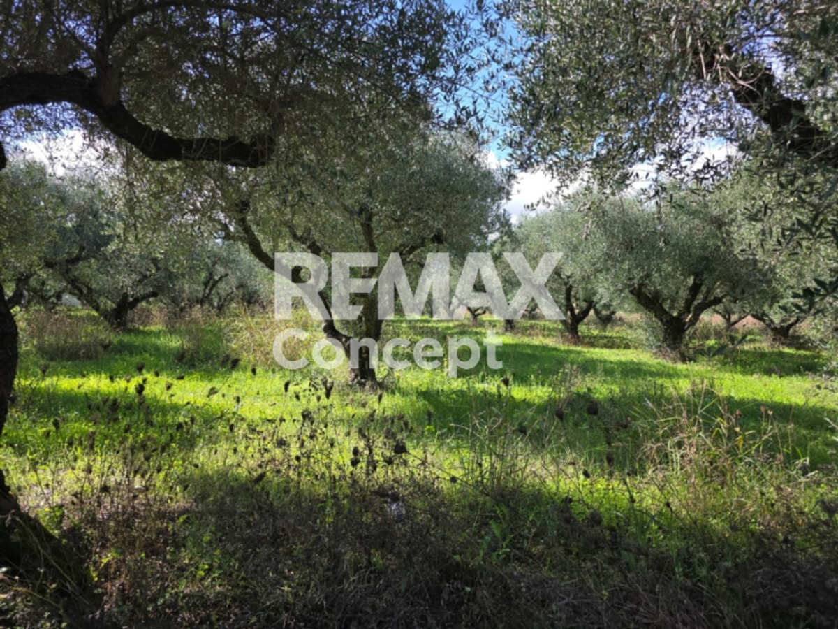 Property thumbnail 4
