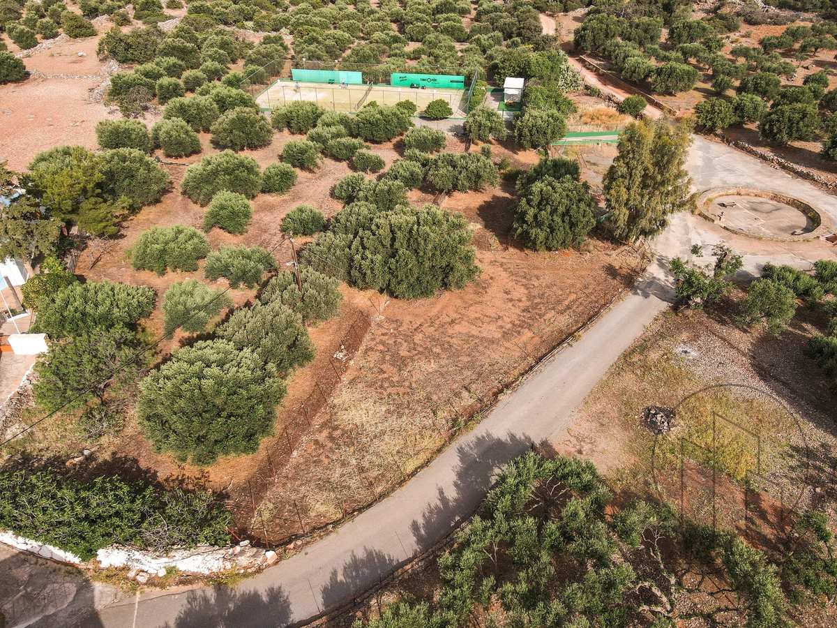 Property thumbnail 3