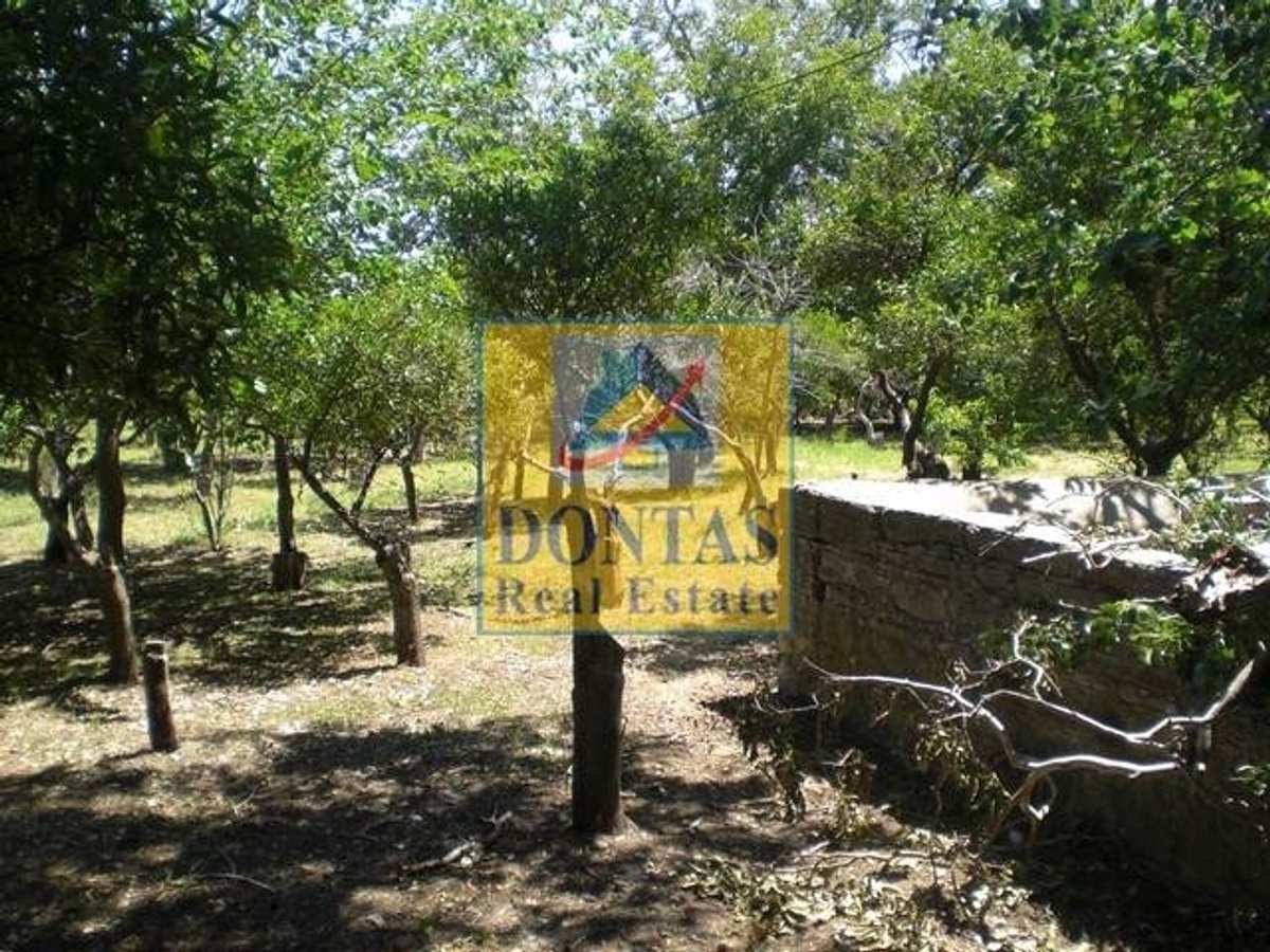 Property thumbnail 4