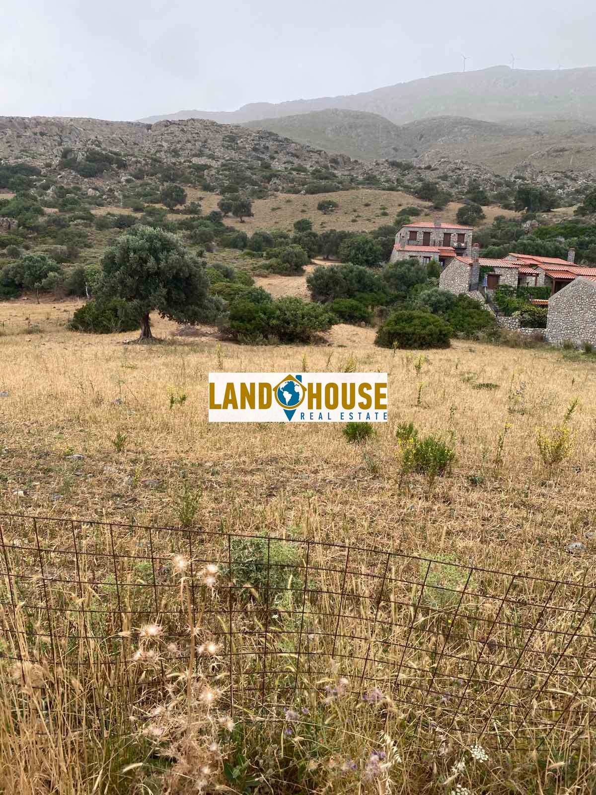 Property thumbnail 3