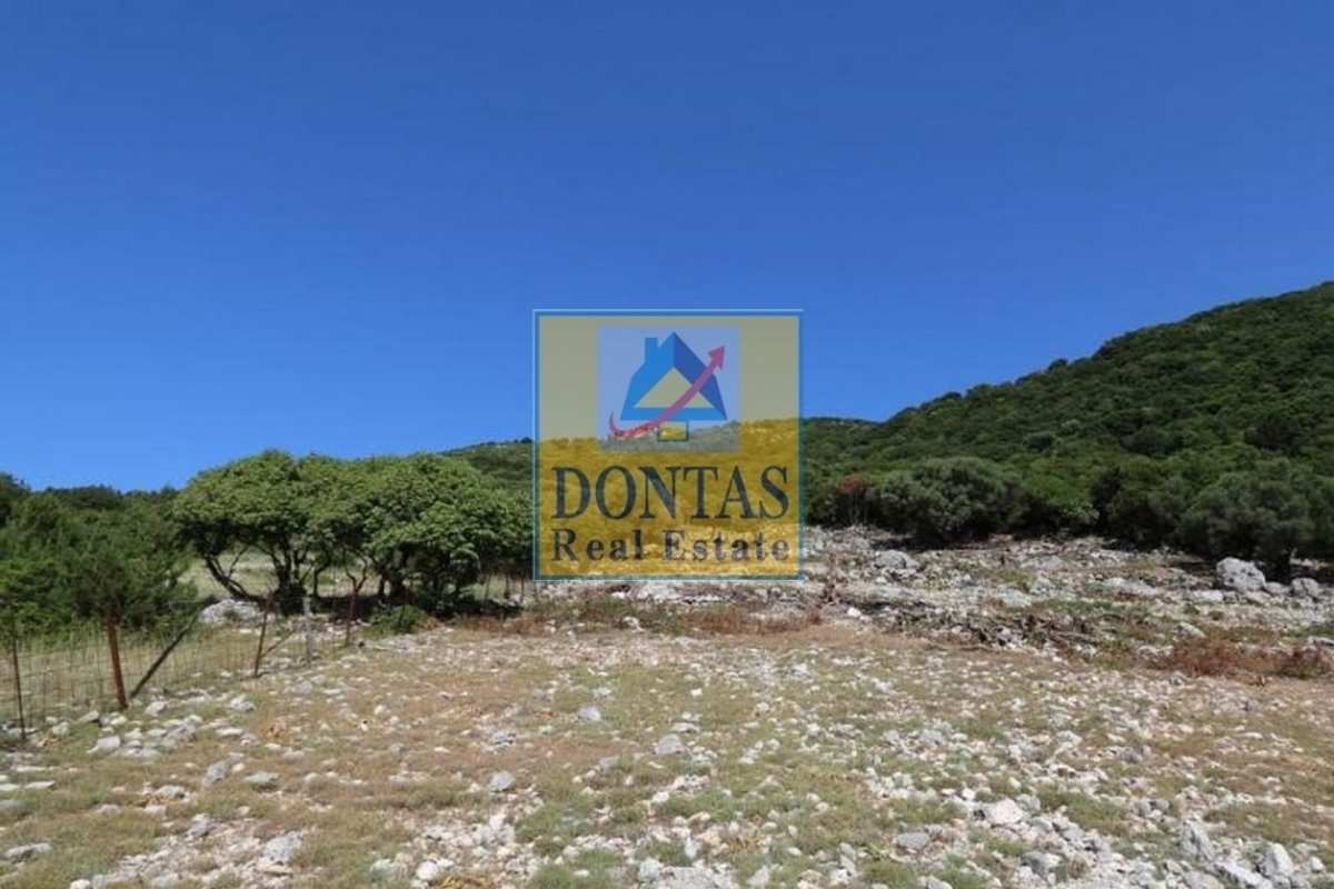 Property thumbnail 4