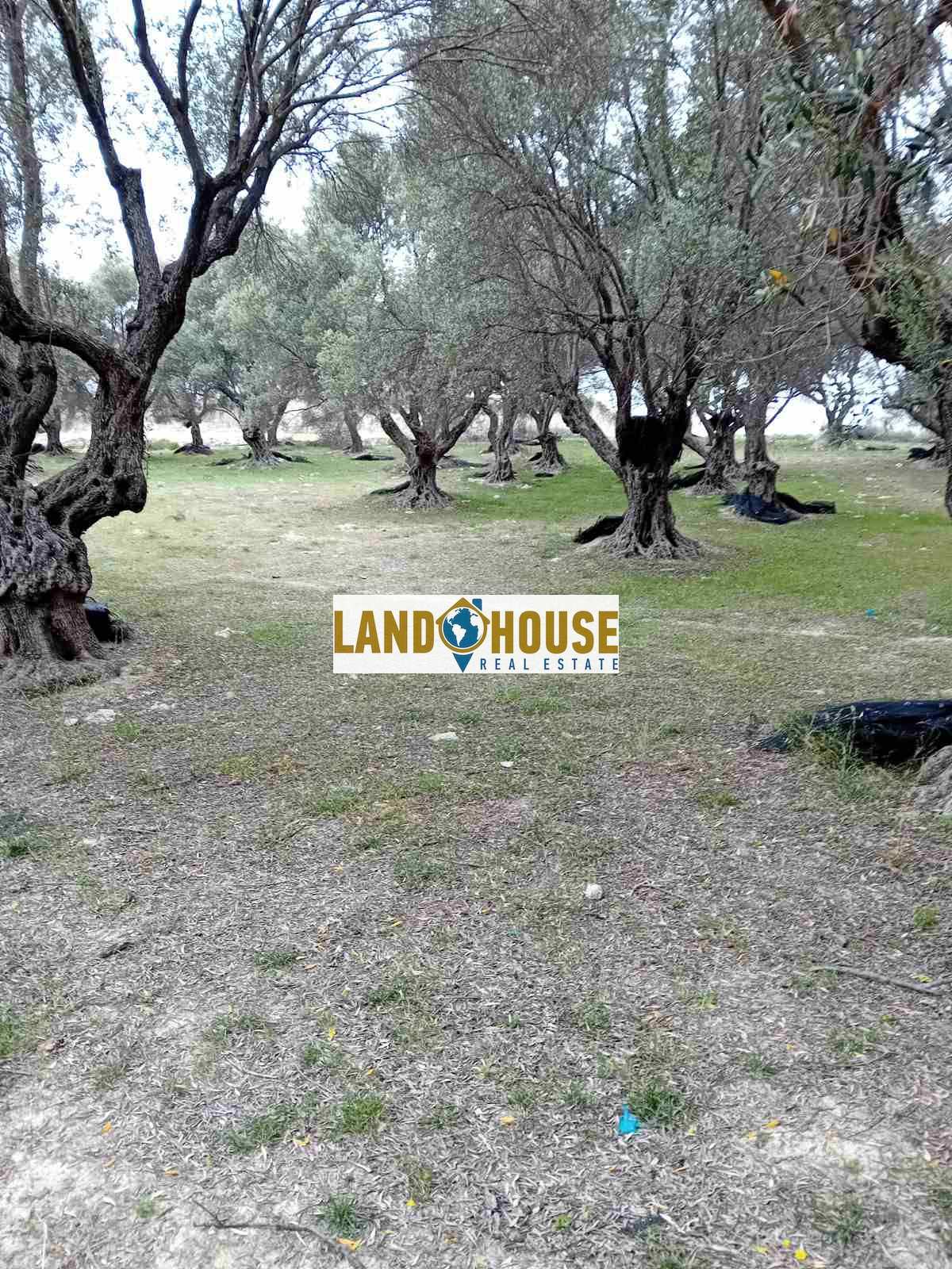 Property thumbnail 4