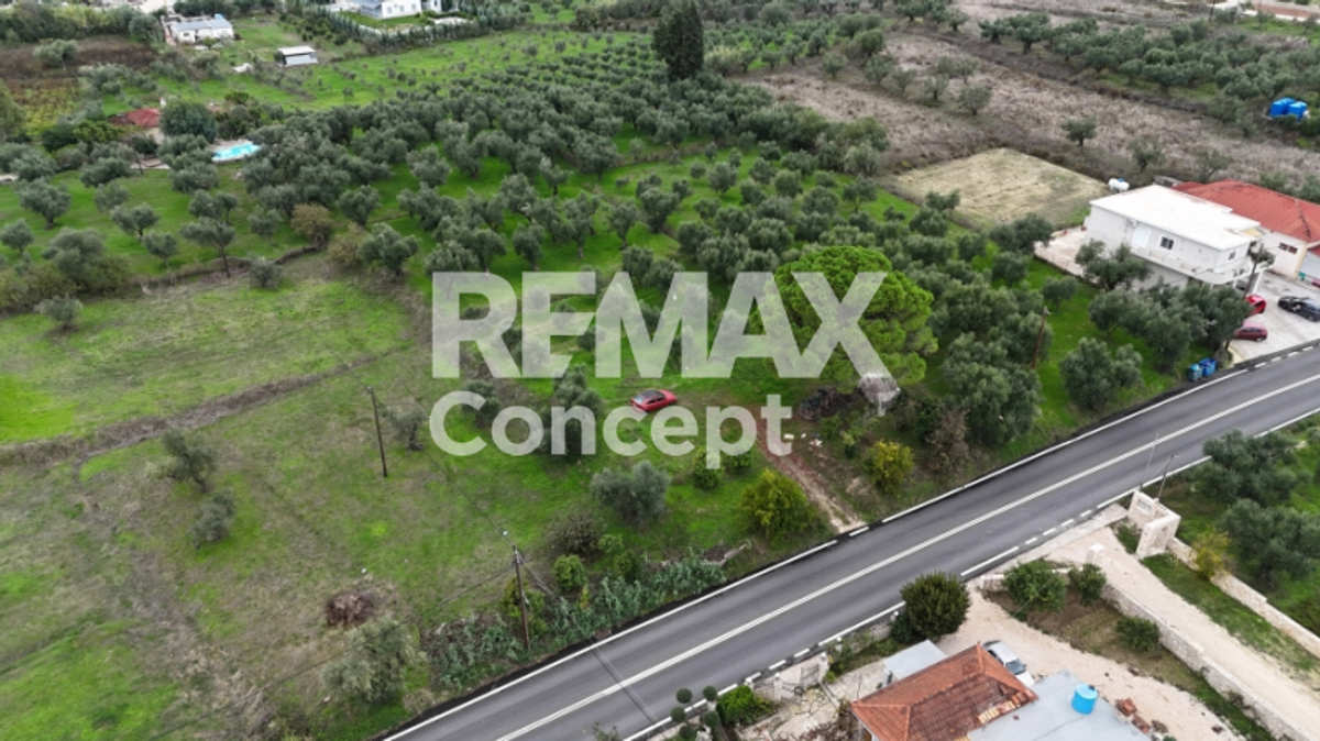 Property thumbnail 3
