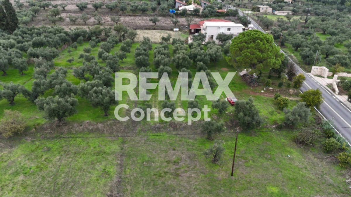 Property thumbnail 4