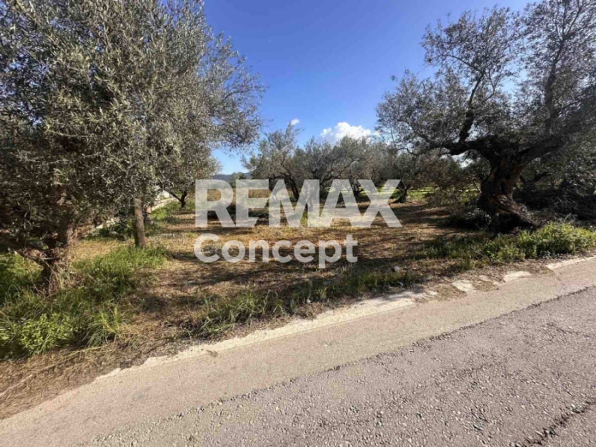 Property thumbnail 4