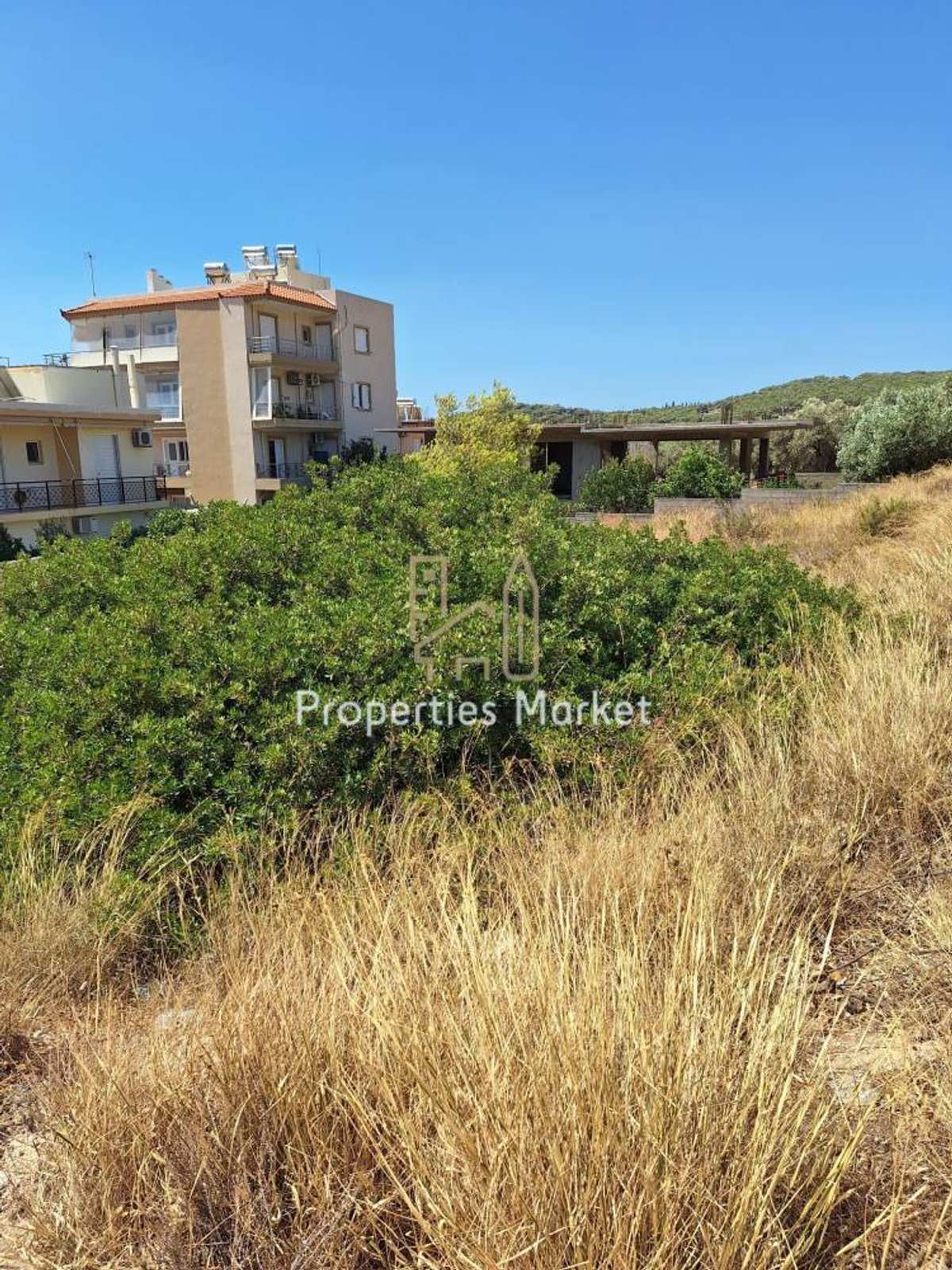 Property thumbnail 3
