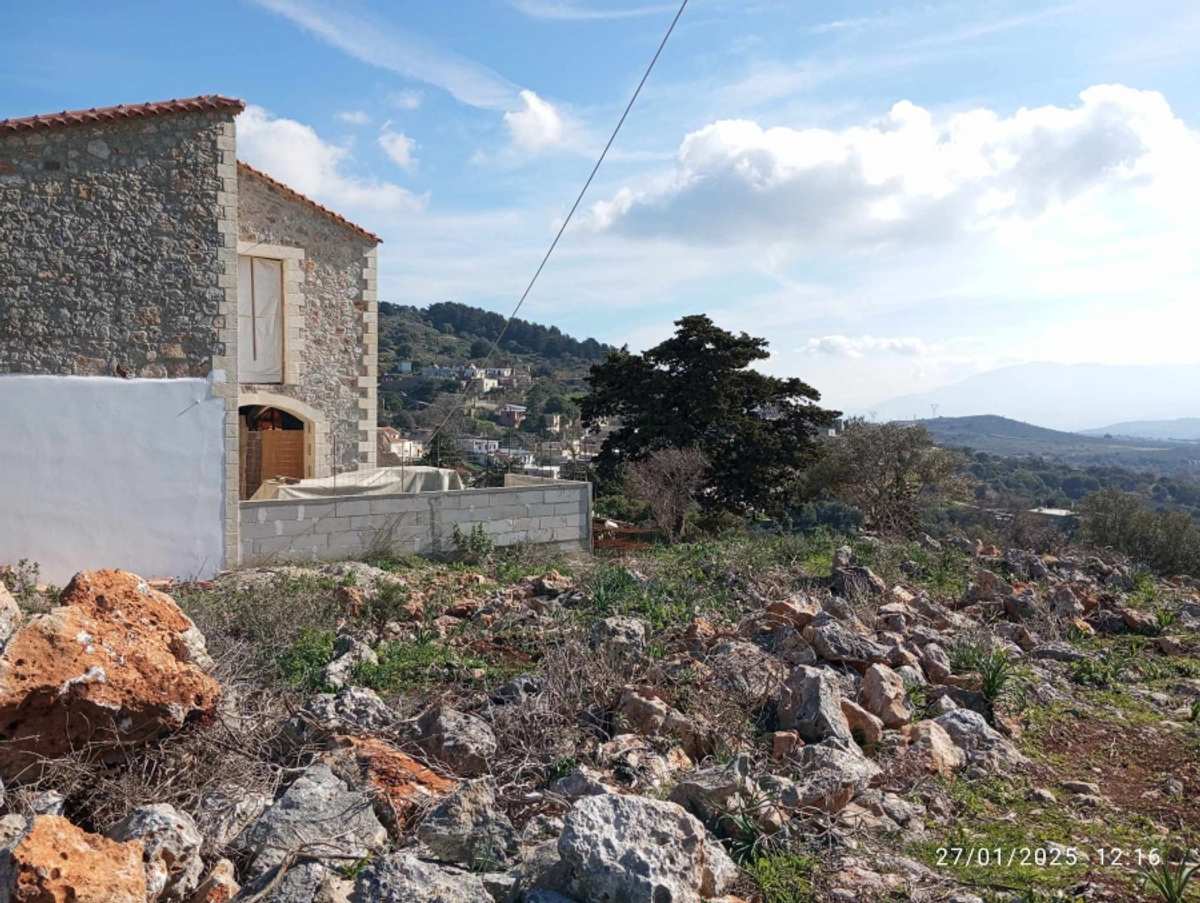 Property thumbnail 4