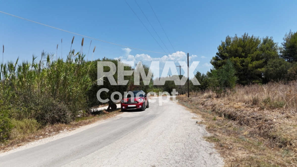 Property thumbnail 4