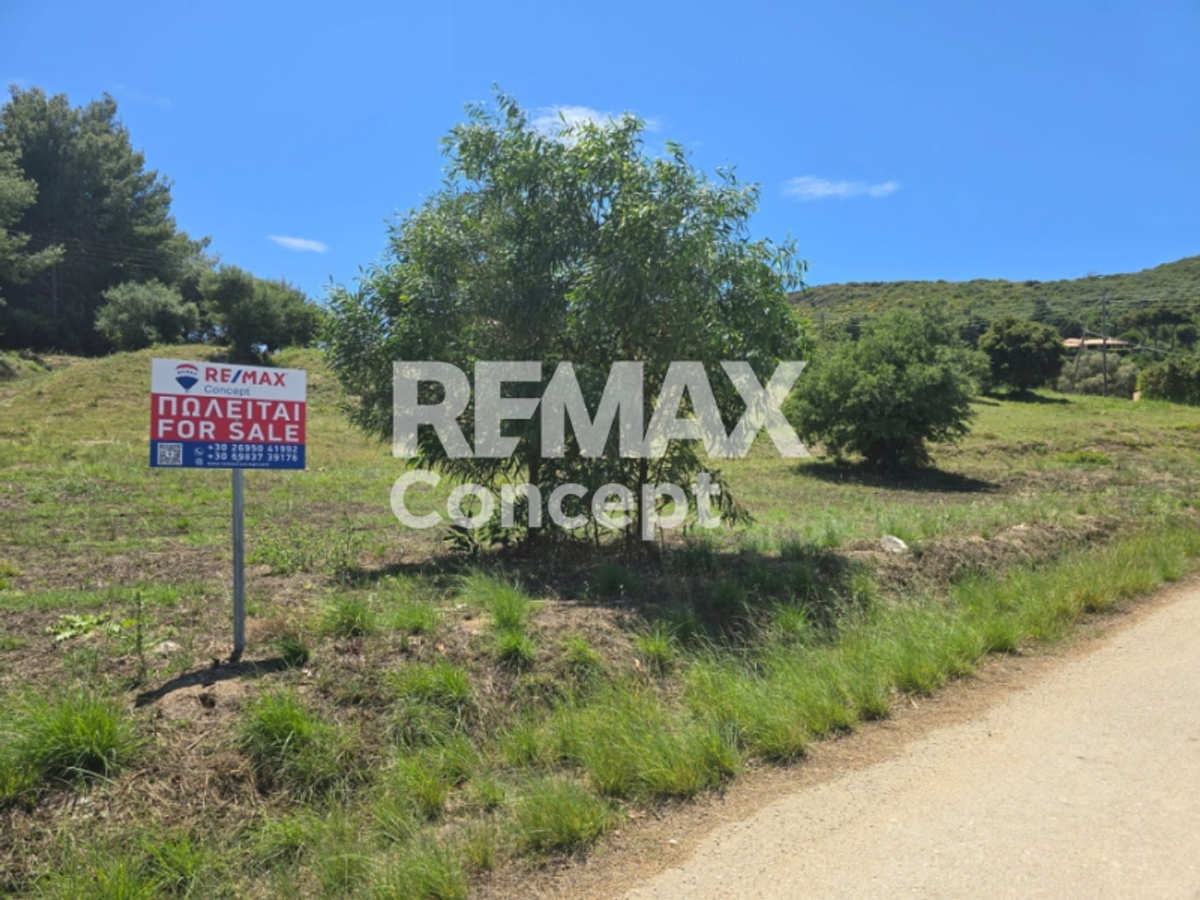 Property thumbnail 3