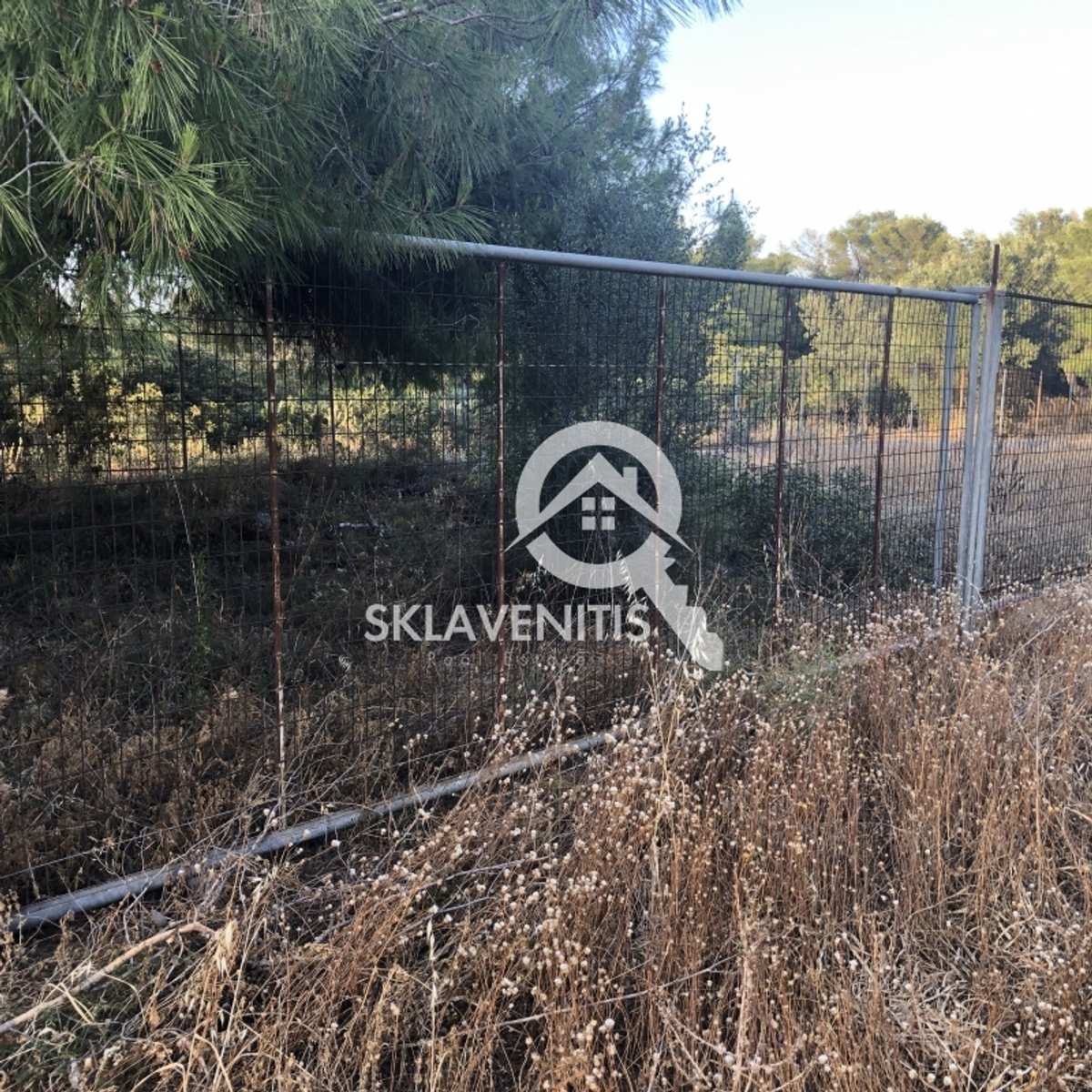 Property thumbnail 3