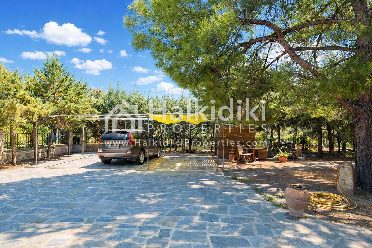 Property thumbnail 3