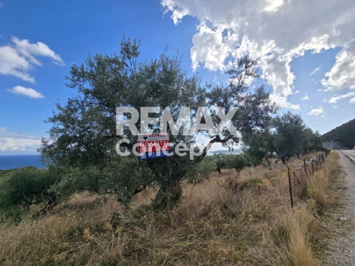Property thumbnail 3