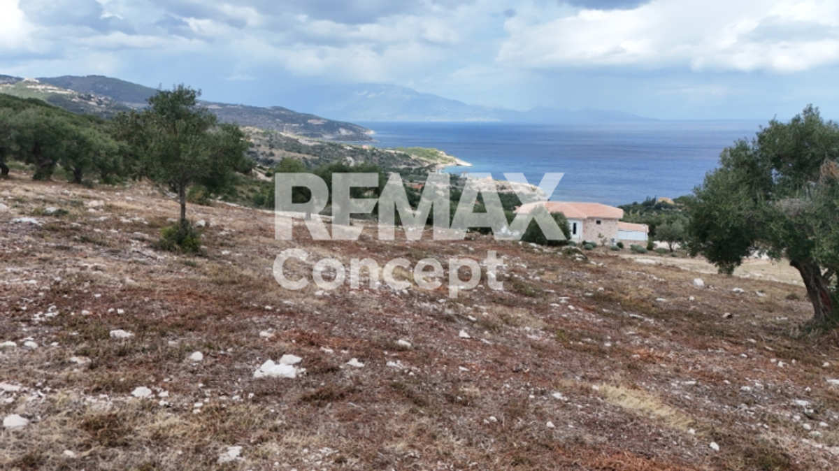 Property thumbnail 3