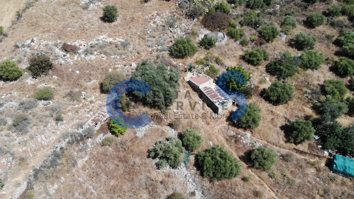 Property thumbnail 3