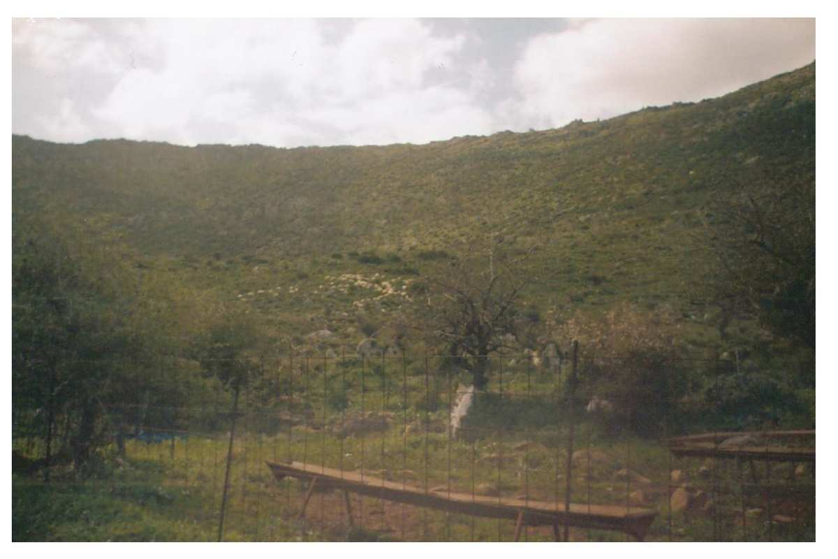 Property thumbnail 3