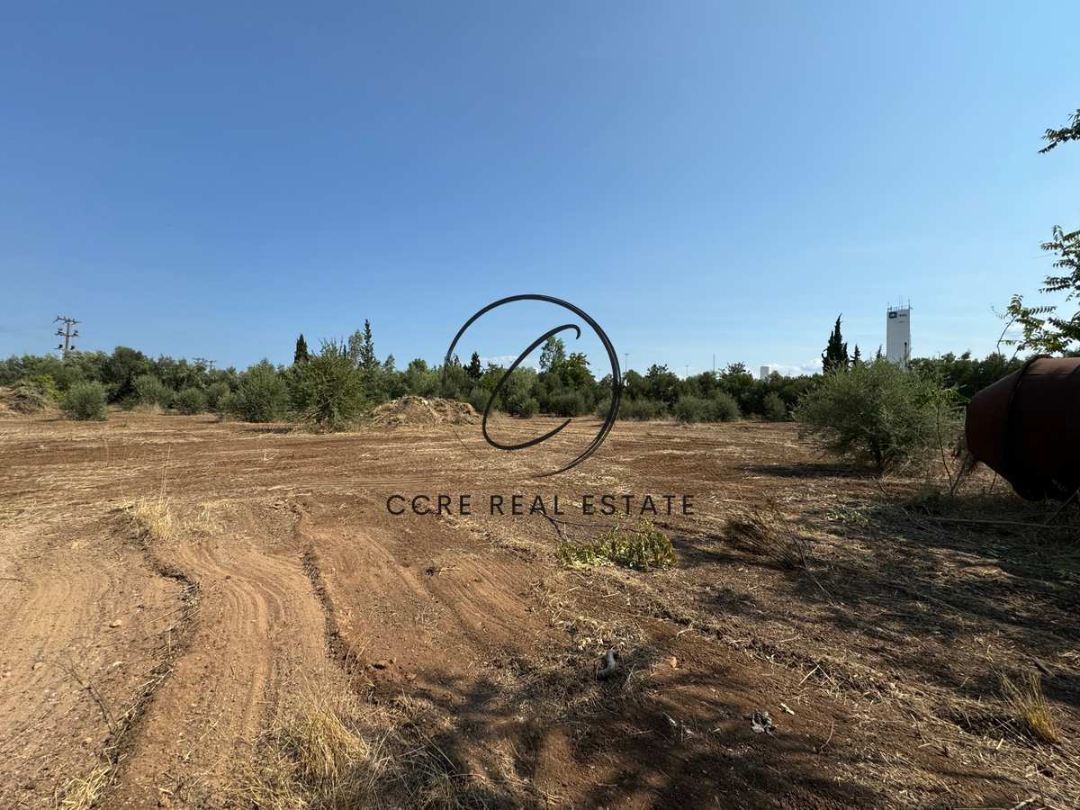 Property thumbnail 4