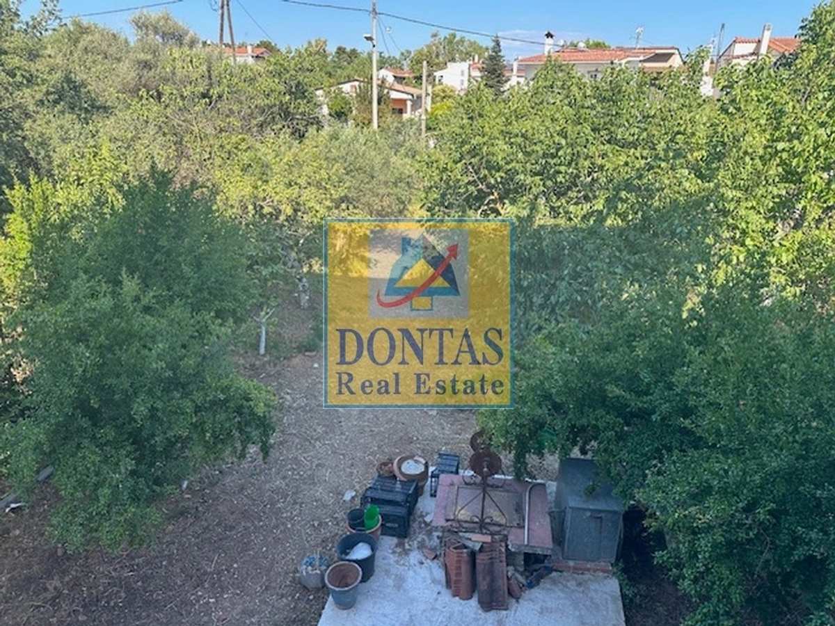 Property thumbnail 3