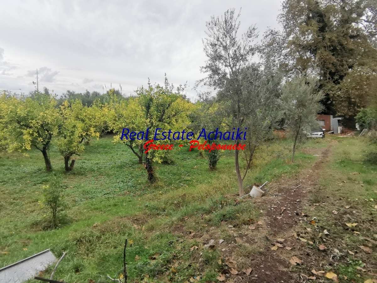 Property thumbnail 3