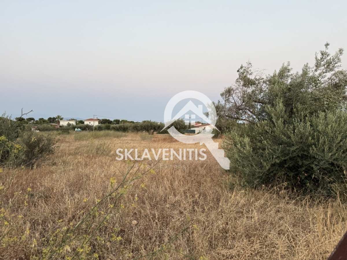 Property thumbnail 4