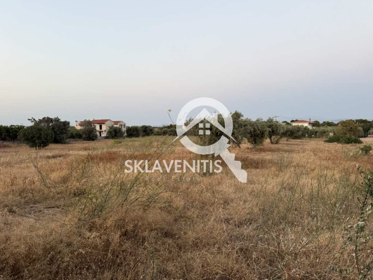 Property thumbnail 3