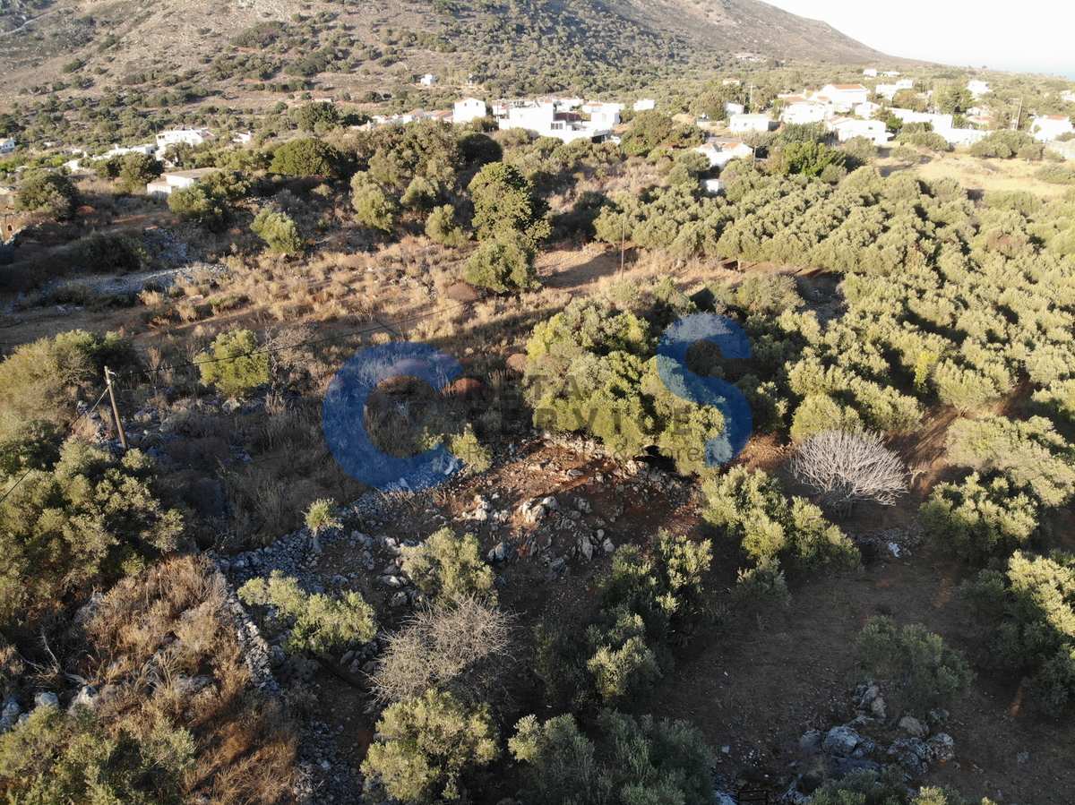 Property thumbnail 4
