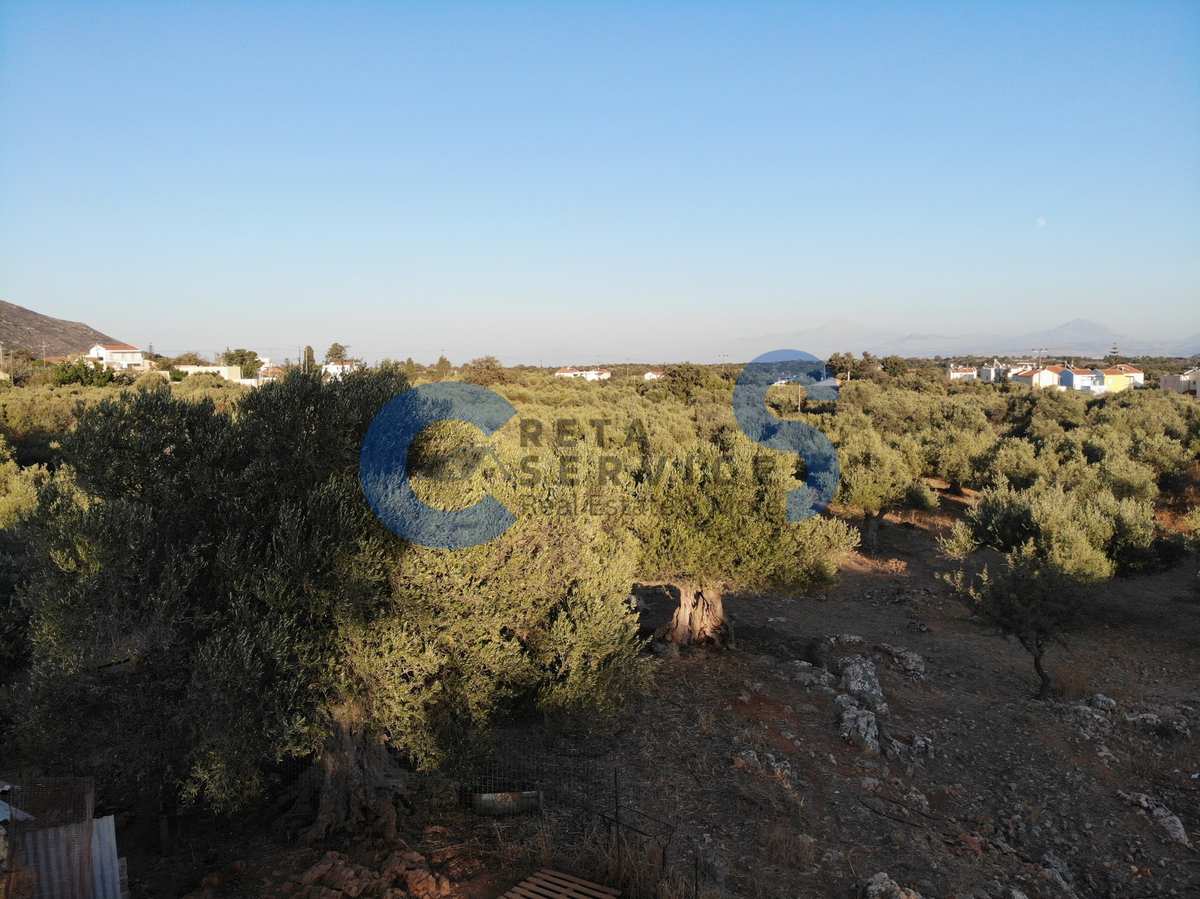 Property thumbnail 3