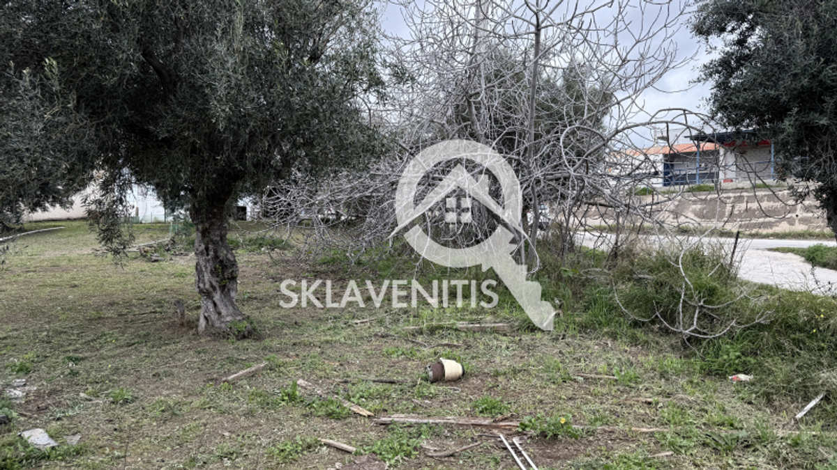 Property thumbnail 4