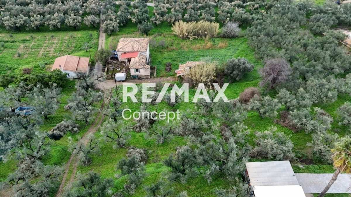 Property thumbnail 4
