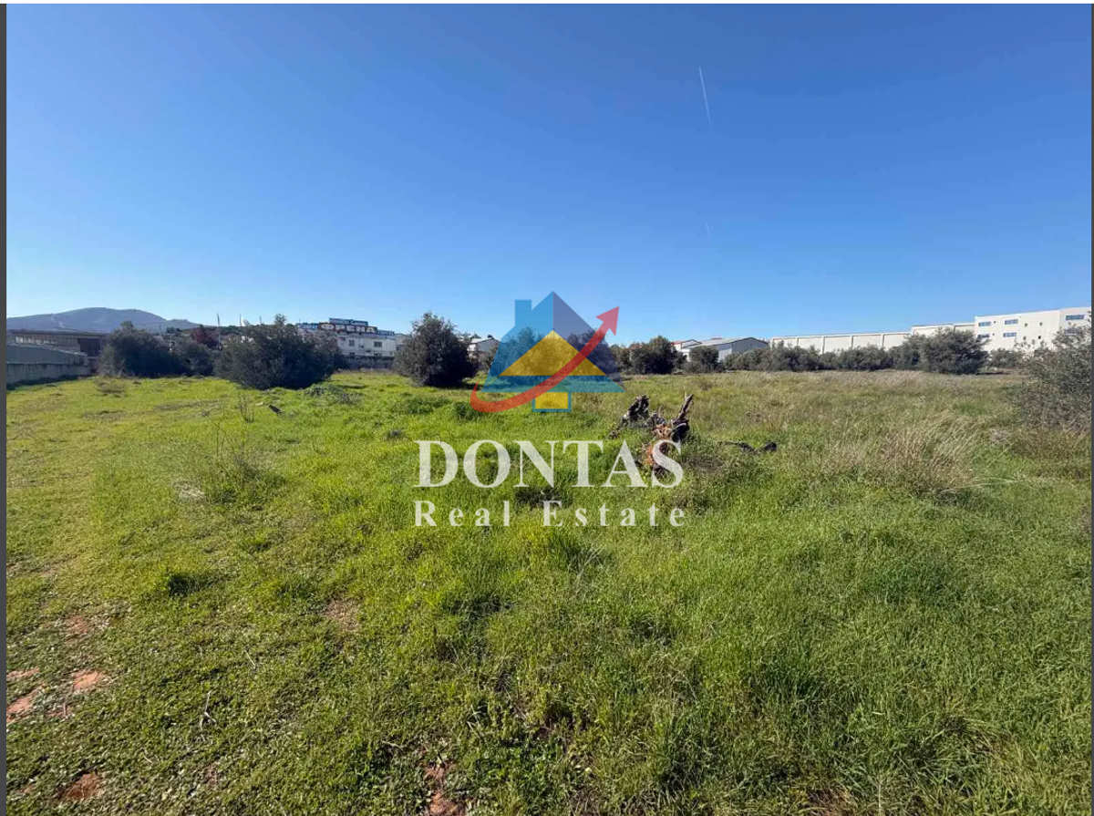 Property thumbnail 4