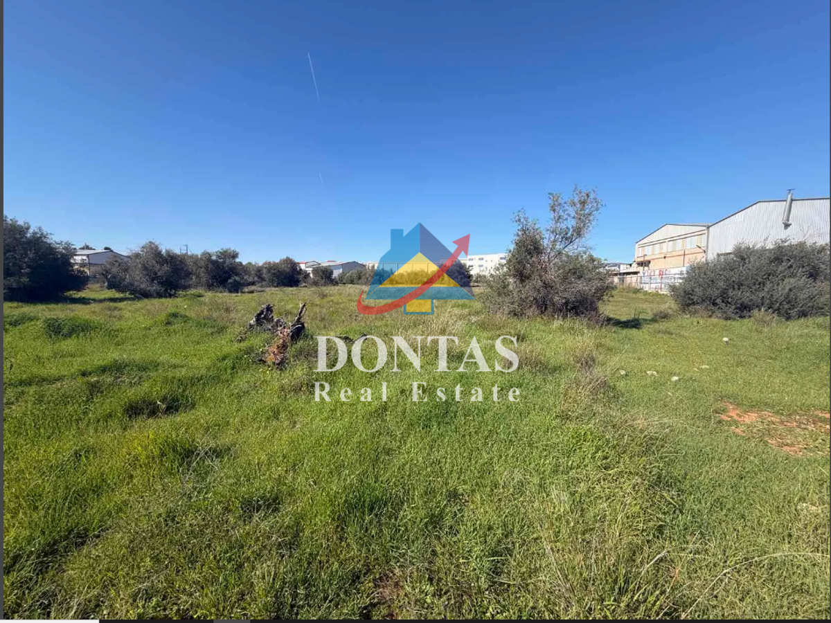 Property thumbnail 3