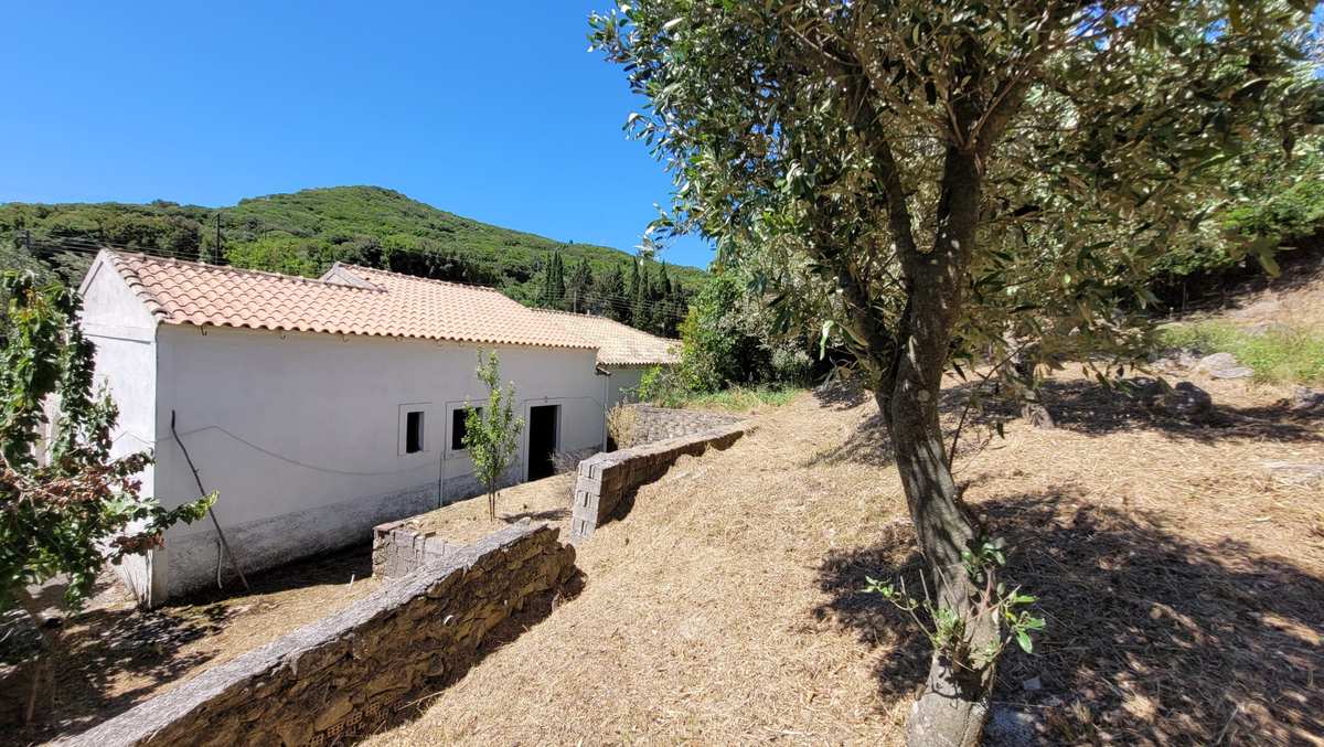 Property thumbnail 3