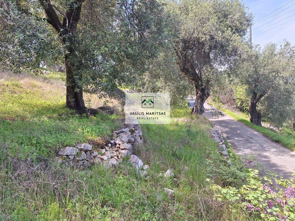Property thumbnail 3