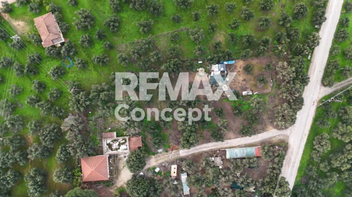 Property thumbnail 3