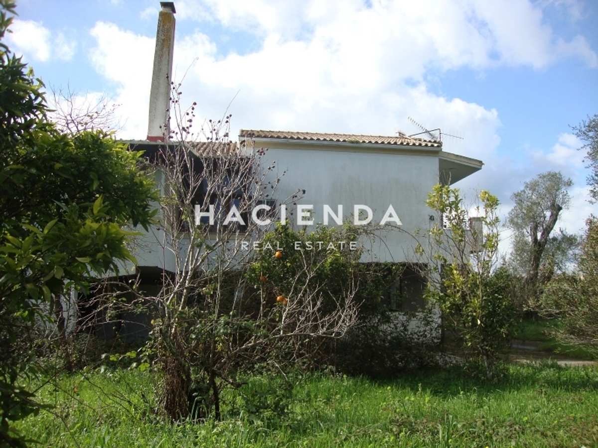 Property thumbnail 4