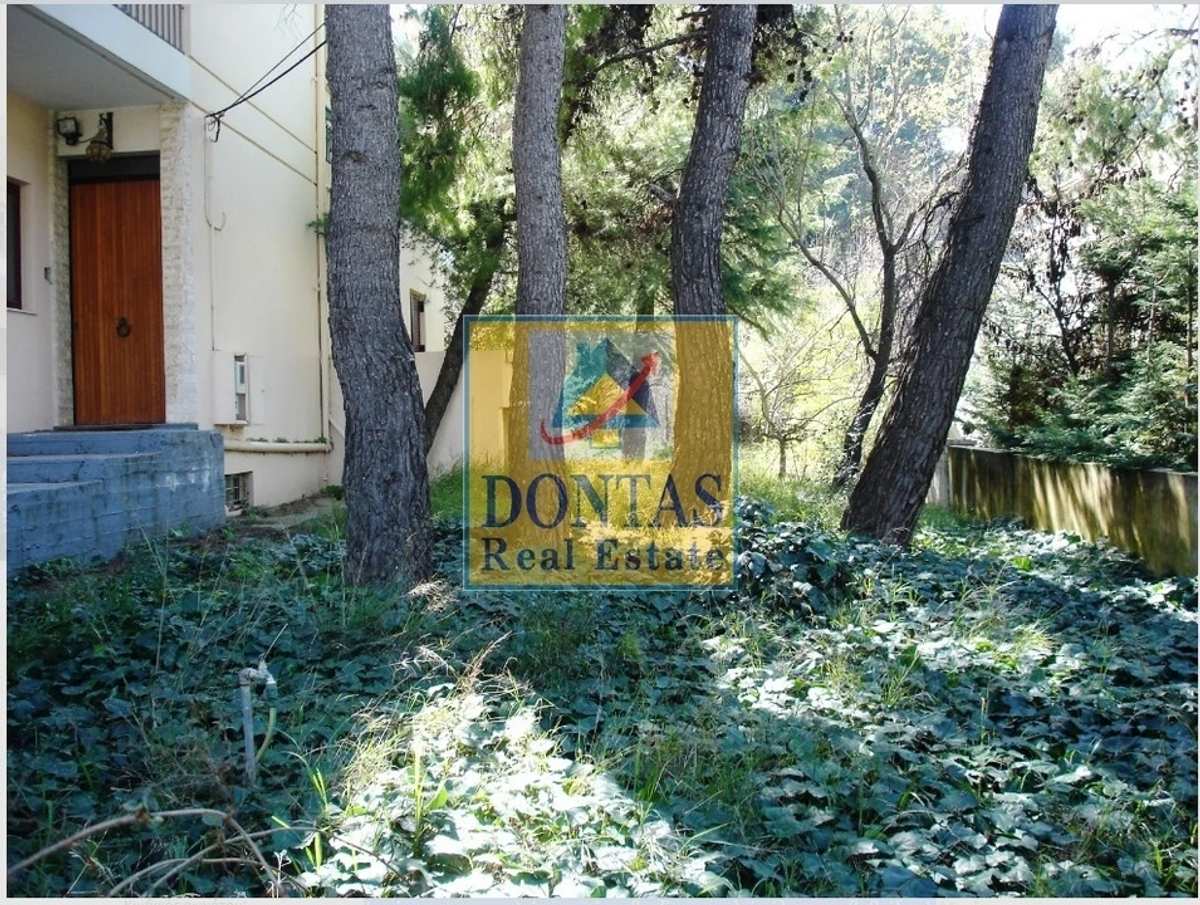 Property thumbnail 3