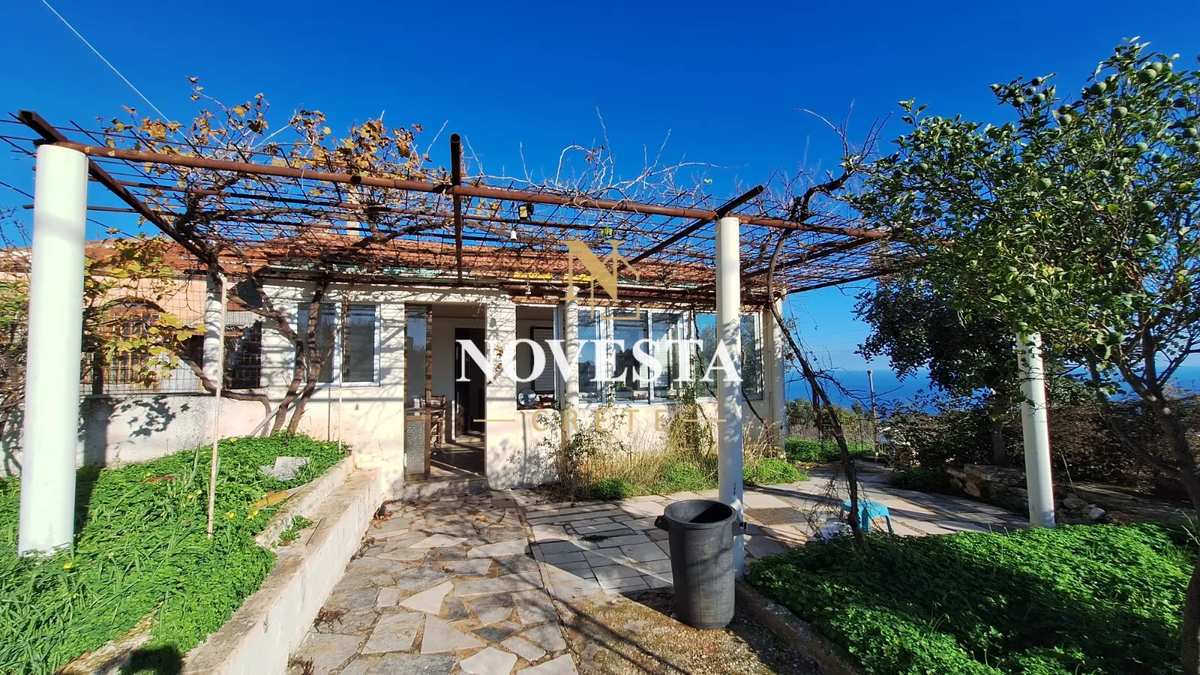 Property thumbnail 3