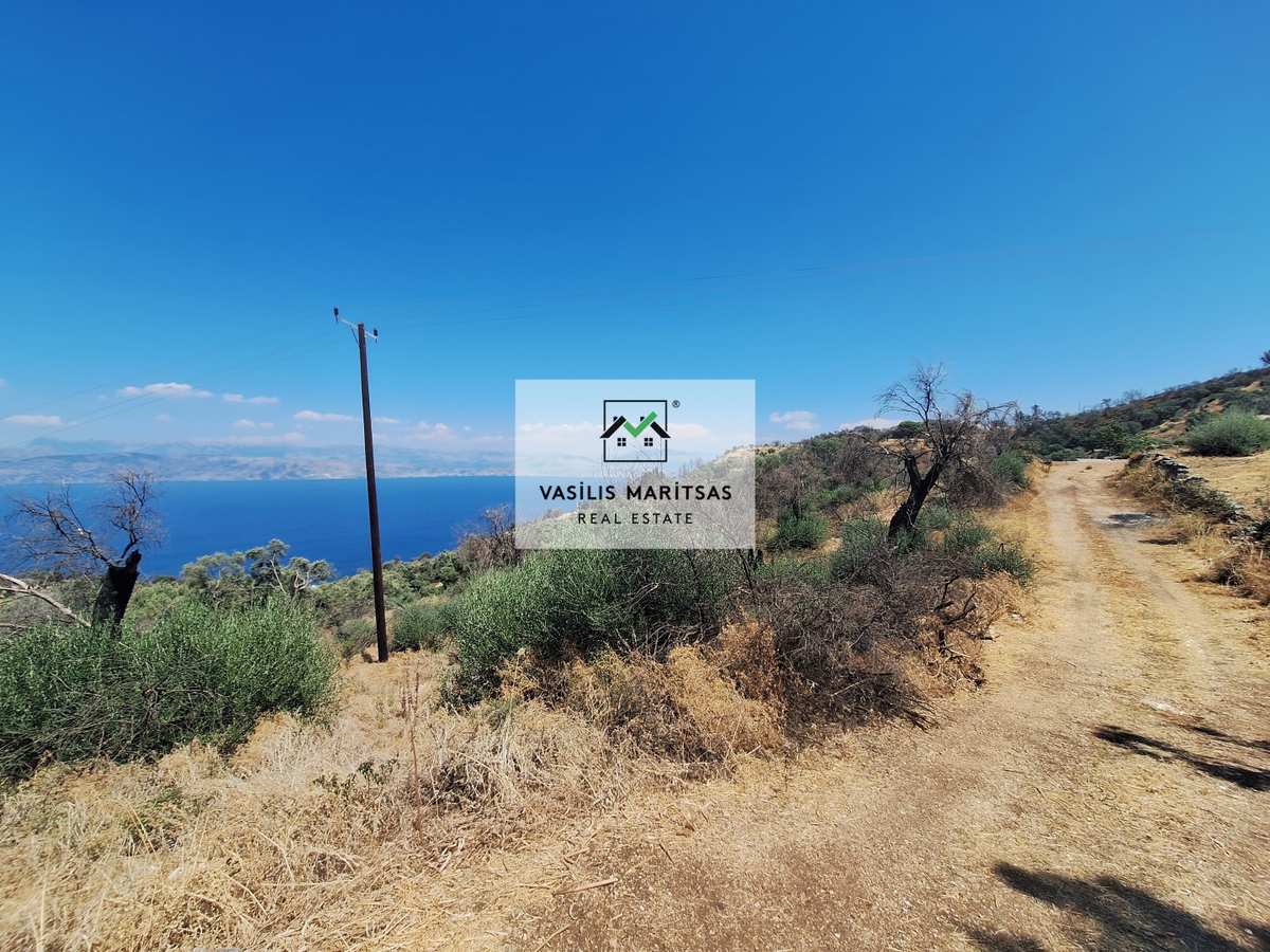 Property thumbnail 4