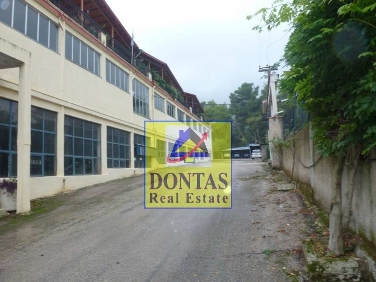 Property thumbnail 3