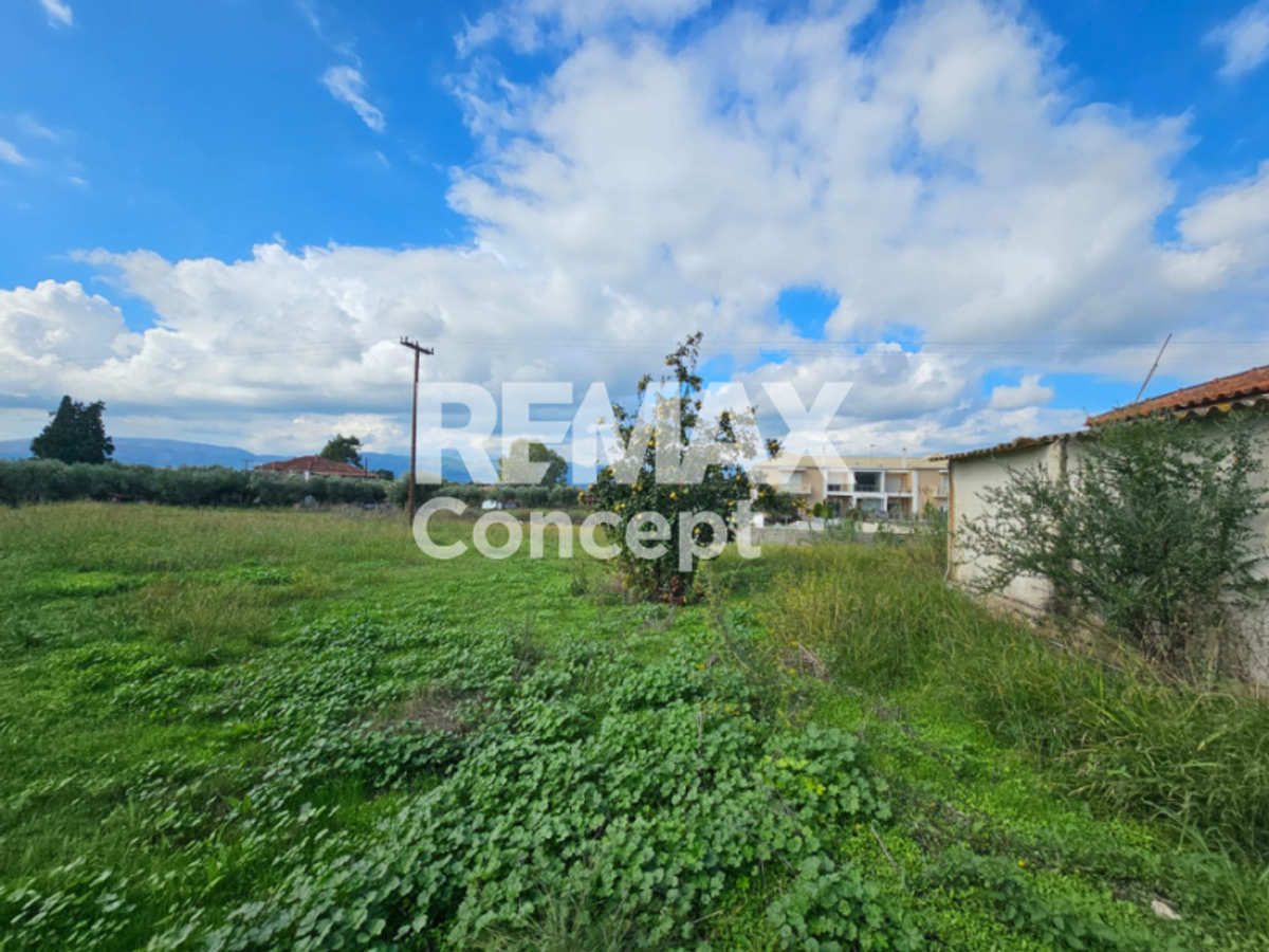 Property thumbnail 3