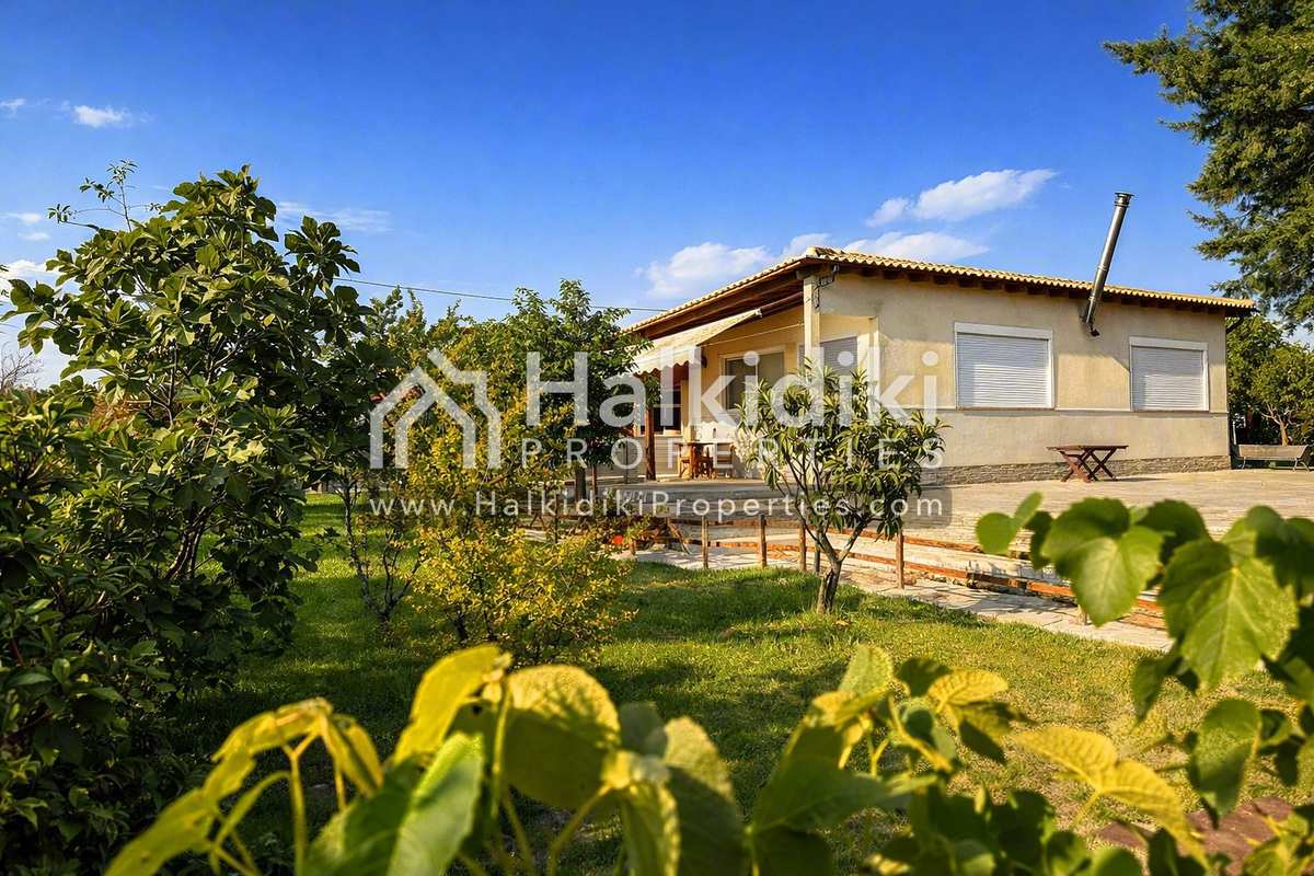 Property thumbnail 3