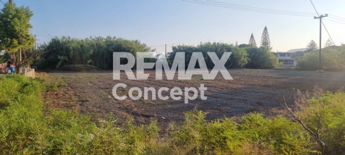 Property thumbnail 3