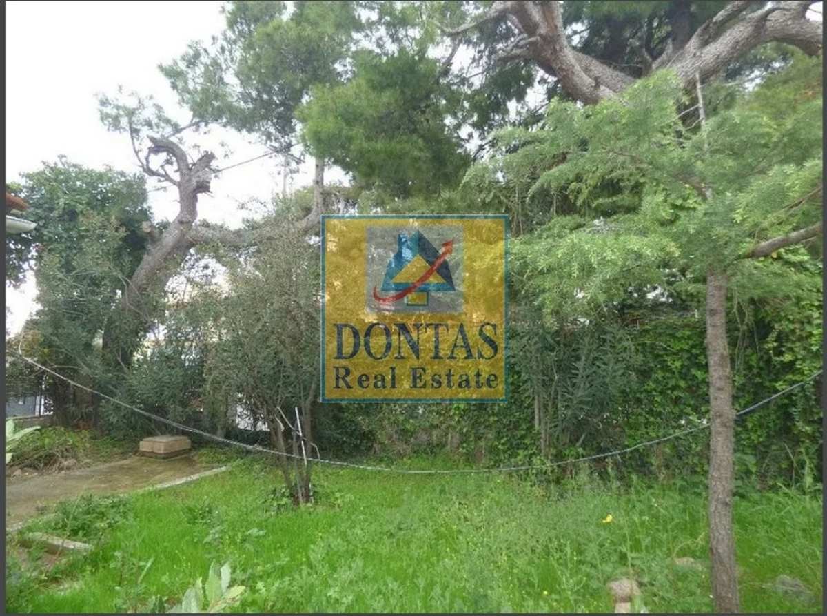 Property thumbnail 4