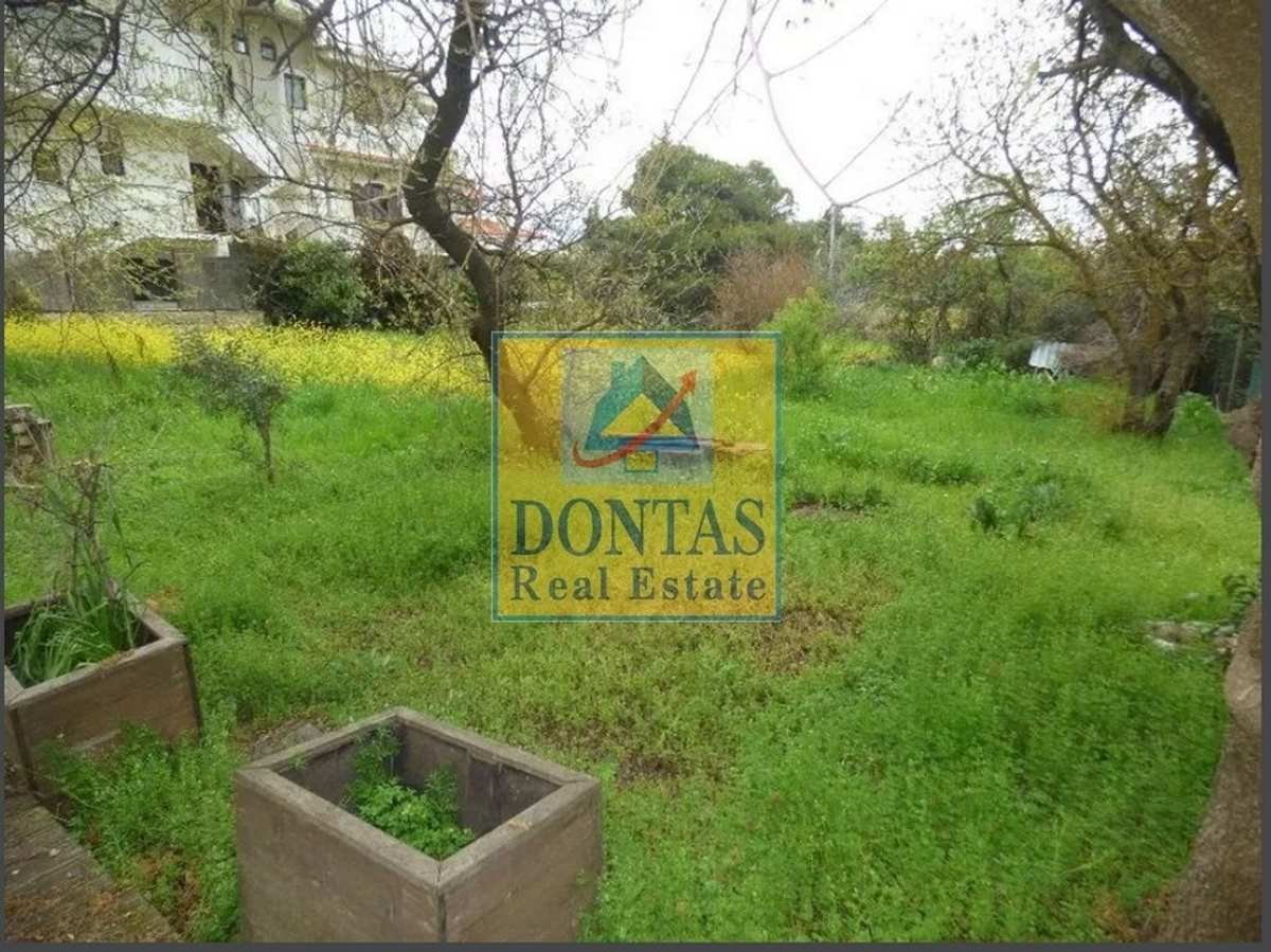 Property thumbnail 2