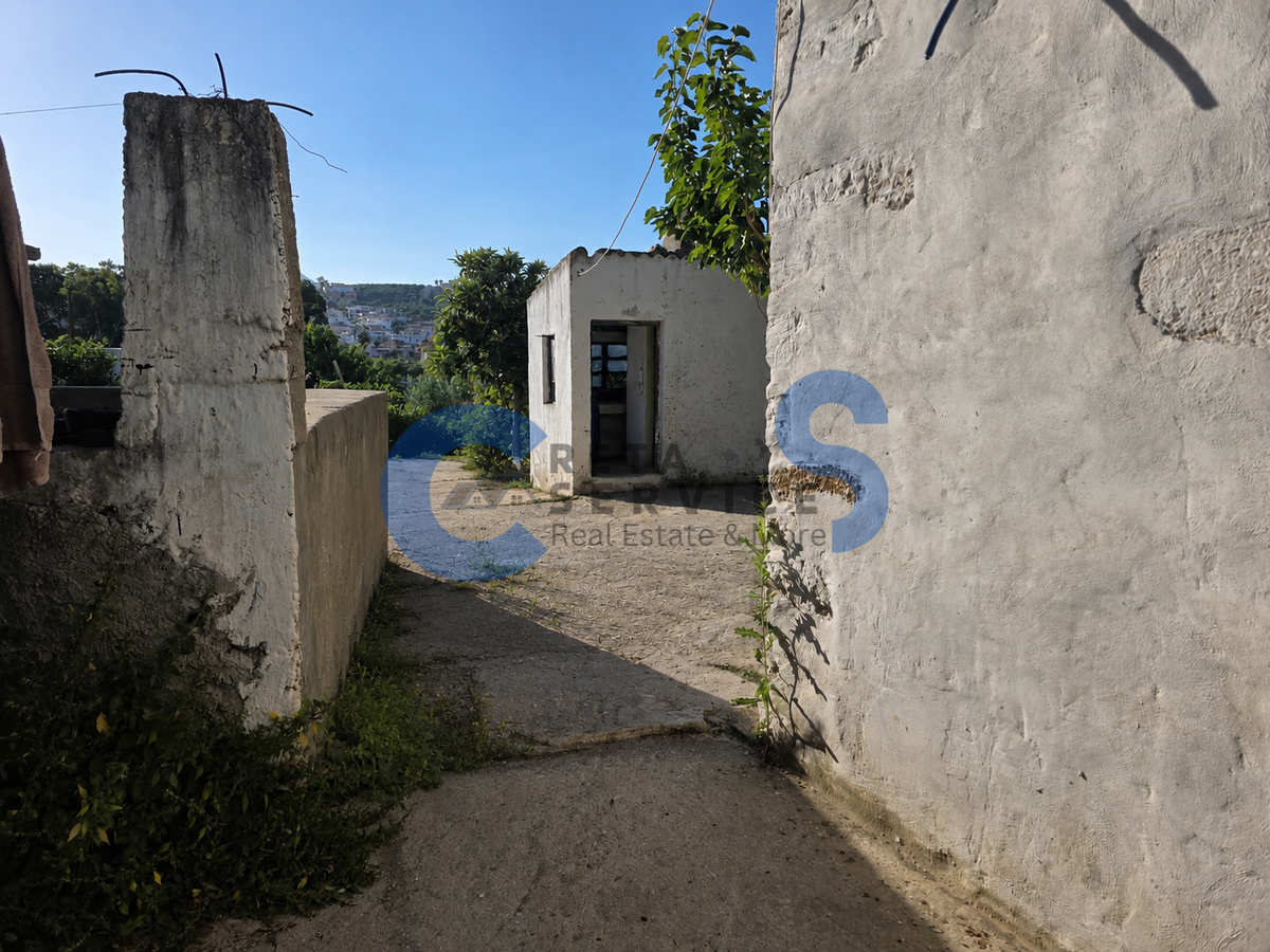 Property thumbnail 3