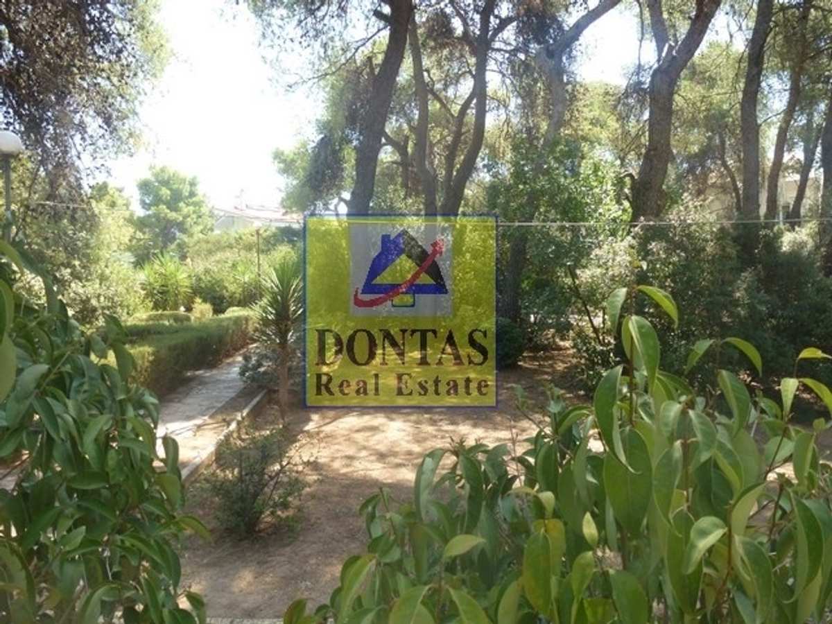Property thumbnail 3