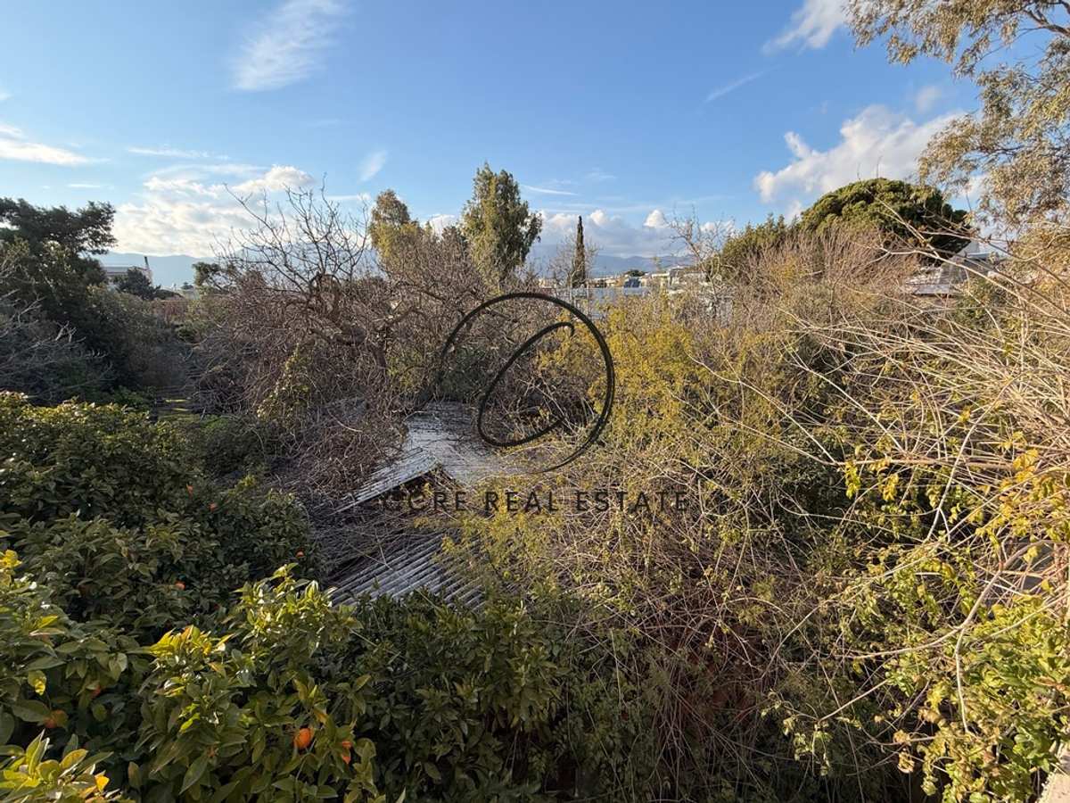 Property thumbnail 3