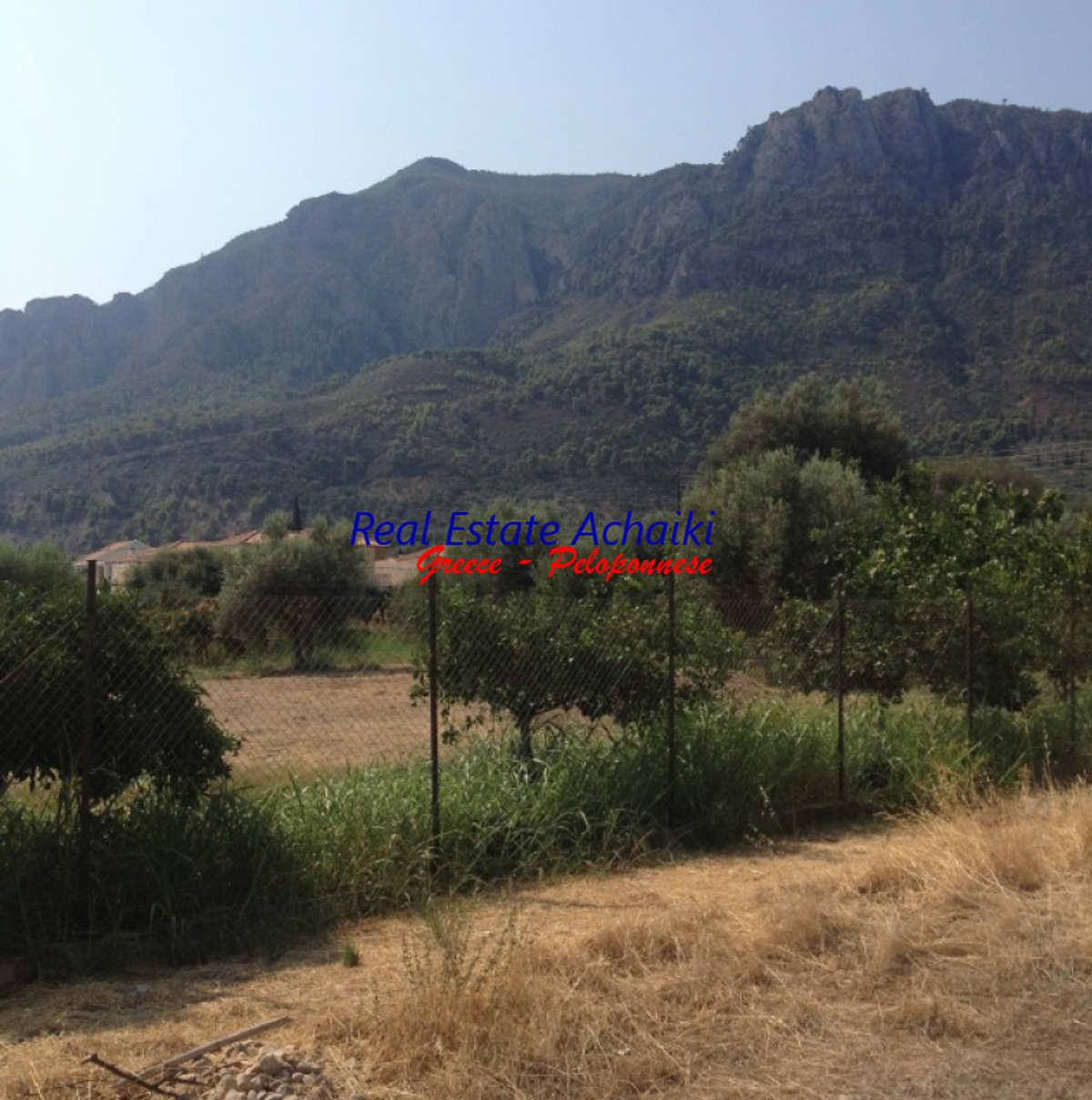 Property thumbnail 3