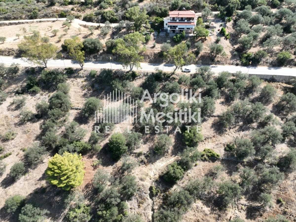 Property thumbnail 3