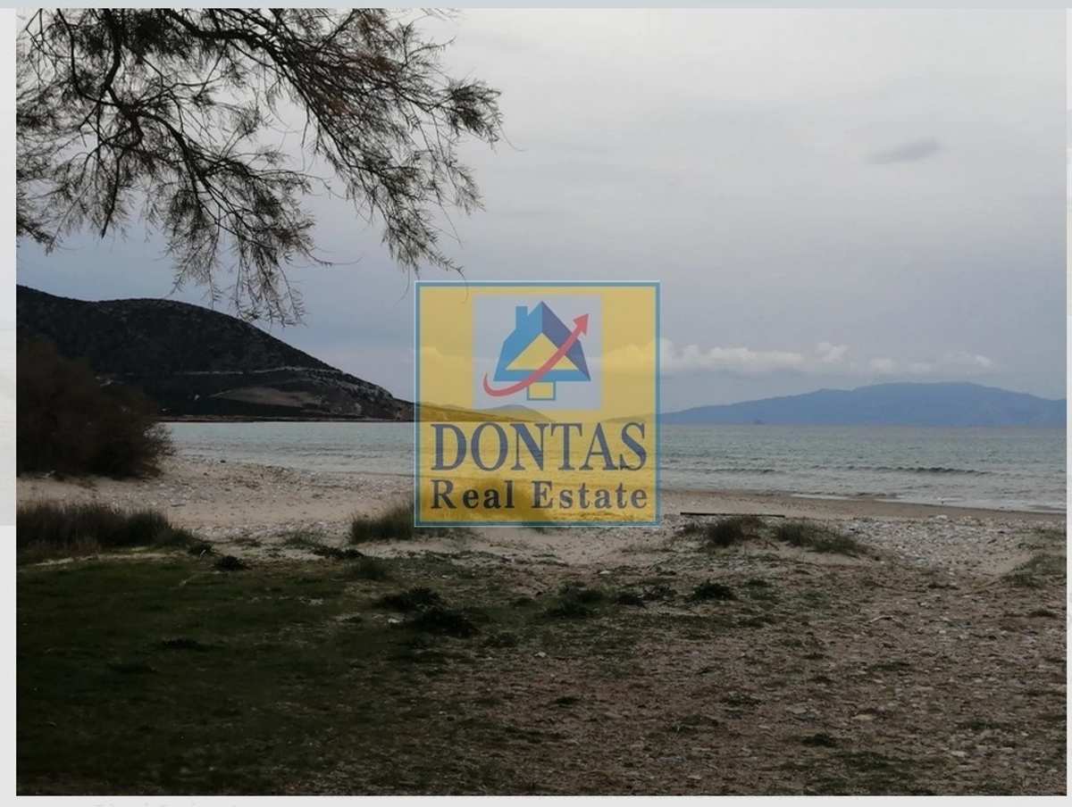 Property thumbnail 2